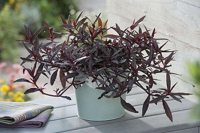 《战神4》V1.03补丁发布 修复内存泄露问题