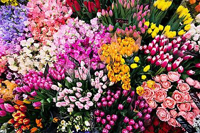 圣莫尼卡证实：《战神：诸神黄昏》拍照模式将在发售后更新