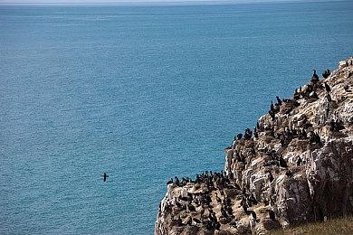 《Bears In Space》登陆Steam 3D第一视角FPS